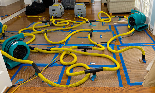 Professional Crawl Space Water Removal technician working in Somerdale, OH